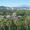 유미목장 이미지