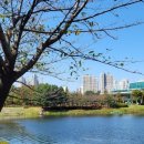 화랑유원지_남측 이미지