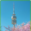 대한꽃집 이미지