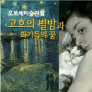 아를별밤 이미지