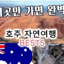 호주 수제 강아지 간식 이미지