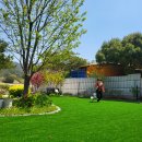 곡성 기차마을 애견동반펜션 이미지