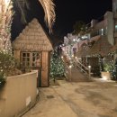 (12/17)크리스마스 미니트리 | 라테라스 윈터빌리지｜전남 여수 광주근교 크리스마스 트리 가볼만한곳 다녀왔어요