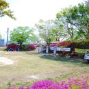 철쭉공원 화장실(중앙) 이미지