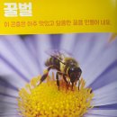 베네딕도유치원 이미지