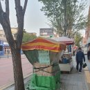 오늘도 댕댕 | (남의 집)강아지와 함께 뛰는 2025 대전 댕댕런 10km 후기