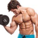 슬림 앤 벌크 이미지