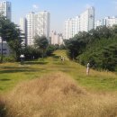 월성박씨종중묘역 티스토리
