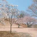 한국에니어드라마연구원