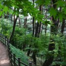 오감연결길 이미지