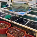 저동 내수전 해수욕장 이미지