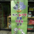 개in샵(개in#) 이미지