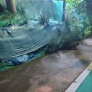 수영강변 이미지