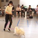 테일프렌즈 이미지