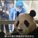 한주(아) 이미지