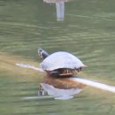 해바라기집밥 이미지