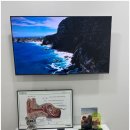 연세보청기 이미지