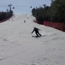 웰리힐리파크 이미지