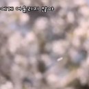 6회 뜬금경연 ~~서울 이곳은(듀엣 청신호) 이미지