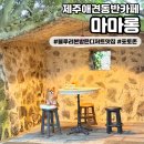 [마마롱] 제주애견동반카페 블루리본 받은 디저트맛집 포토존은 덤!🍰