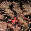 언양스테이크갈비 이미지