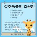 (주)굿메디 이미지