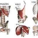 저스트코어 이미지