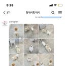 올데이 멍데이 이미지