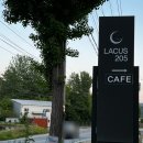 라쿠스205 네이버블로그