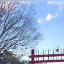 장군묘 화장실 이미지