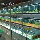 이상한나라의수족관