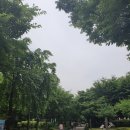 마포, 걷고싶은길 3코스 이미지