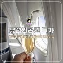 유럽항공권 특가 독일 프랑크푸르트 - 인천 루프트한자 비즈니스 좌석 기내식 후기