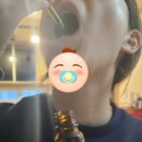 대마종자유 브라이트 스카이 7% 햄프씨드오일