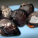 참고자료 이미지