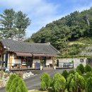 청솔목장 | 무빈소장례 장례담 후불제 서비스로 무량수목장에서 진행한 진심 어린 이별 준비 후기