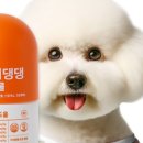 마이뉴트리 이미지