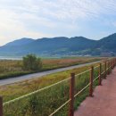 소라면 가사리 이미지