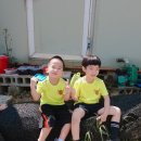 신신태권도 이미지