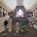 대구박물관 이미지