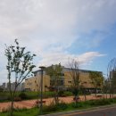 유아발레(5~6세) 이미지