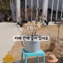 멍레스트 이미지