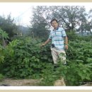 도원농장 이미지