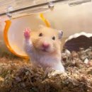 (주)맘스이레 | 2nd week of september