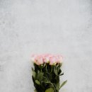 아름다운웨딩컨벤션
