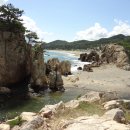 양포항 Daum카페