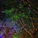 영상강문화공원 이미지