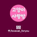 카페포유 이미지