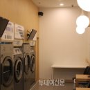 THE(더)세탁 이미지