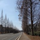 2함대길 이미지